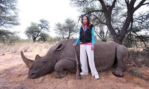 Pétition : Stop aux braconnage des rhinocéros