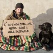 Pétition : Non au kidnapping et à l'exécution de chiens sur Rennes !