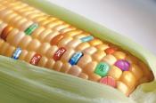 Êtes-vous favorable à un logo obligatoire sur tous les produits alimentaires pour indiquer la présence ou non d'ingrédients OGM ?