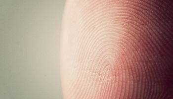 Combien d'empreintes digitales en forme d'arche avez-vous sur vos dix doigts ?