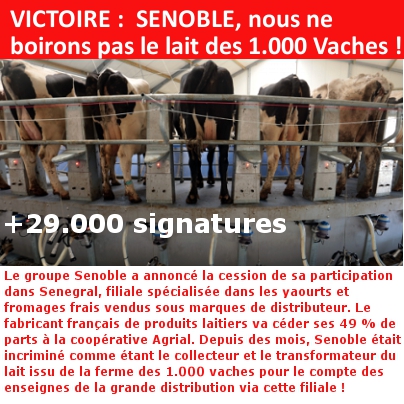 VICTOIRE :  SENOBLE, nous ne boirons pas le lait des 1.000 Vaches !