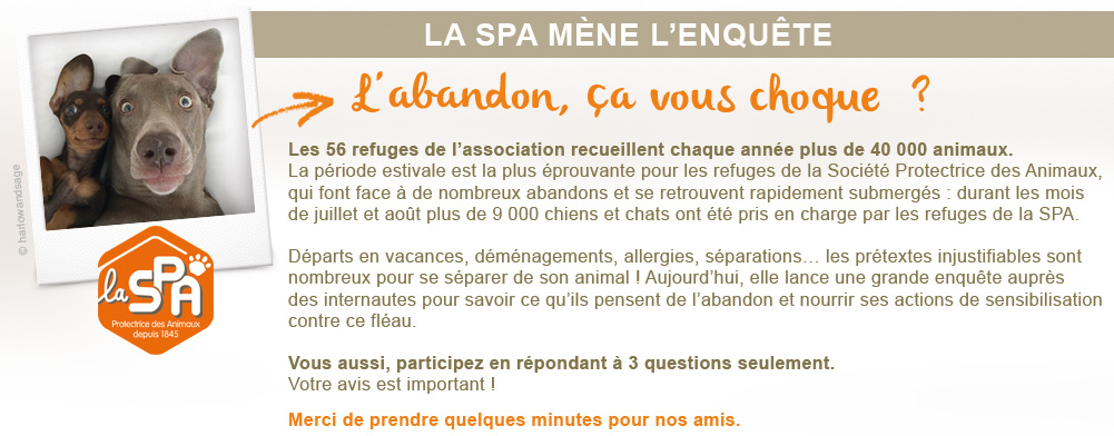 La SPA mène son enquête La SPA mène son enquête