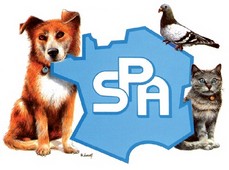 La SPA mène son enquête