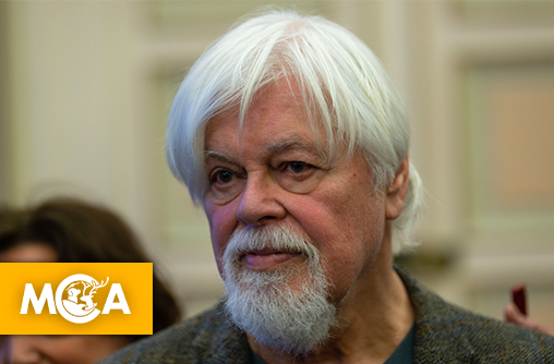 Bonne nouvelle pour Paul Watson : la notice rouge d’Interpol est enfin levée !