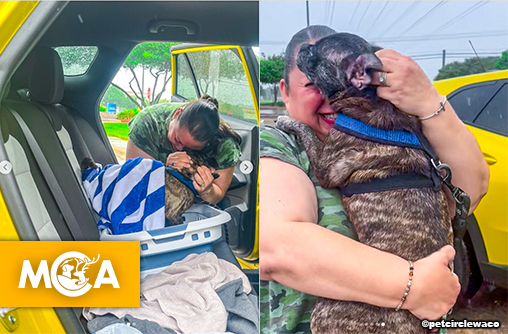 Perdu pendant l’ouragan Harvey, elle retrouve son chien 8 ans plus tard !