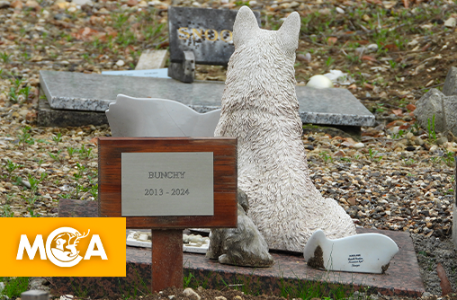 Le premier cimetière animalier du Valenciennois est enfin opérationnel à Marly !