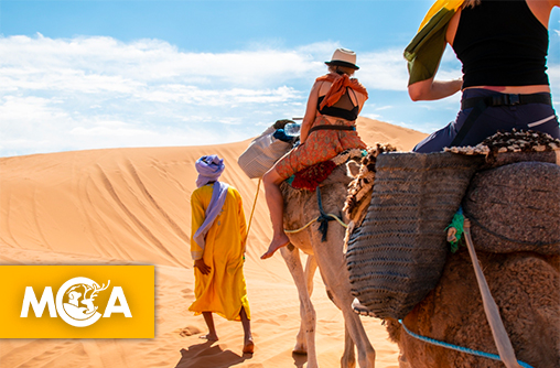 La triste réalité derrière les balades à dos de dromadaire au Maroc