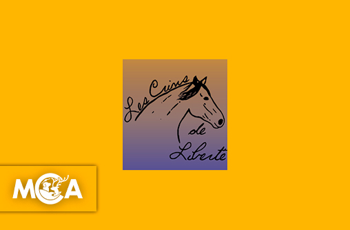 Les Crins de Liberté : offrir une nouvelle vie aux chevaux oubliés