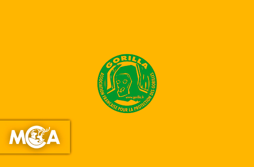 Gorilla : veiller sur les gorilles pour honorer une mémoire et un avenir