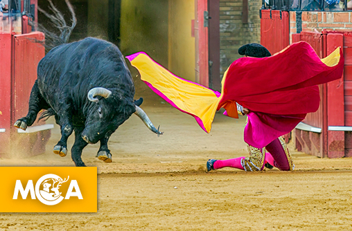 Corrida : la Colombie confirme son interdiction, une victoire pour les animaux