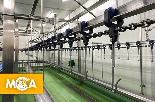 À Lille, L214 interpelle les élus pour protéger les animaux des abattoirs