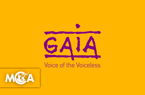 GAIA : Plus de 30 ans de lutte pour les animaux et le vivant