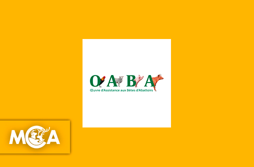 OABA : 60 ans de combat pour les animaux de ferme