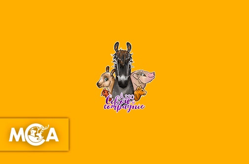 Cibou et Compagnie : offrir une seconde vie à ceux que plus personne ne regarde