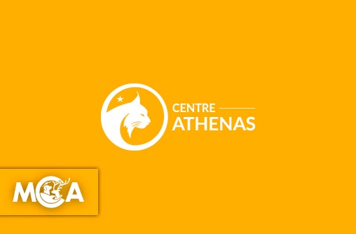 Centre Athénas : protéger et soigner la faune sauvage en détresse