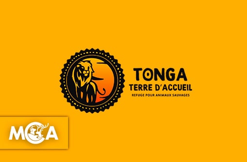 Tonga Terre d’Accueil : un refuge indispensable pour les animaux sauvages saisis en France
