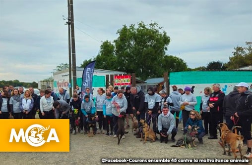 Un Noël solidaire pour nos amis à quatre pattes : Course caritative au profit du refuge de Nargis !