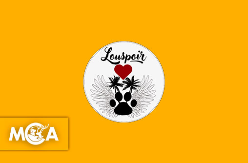 Découvrez Louspoir, l’association qui change la vie des chiens à l’île Maurice