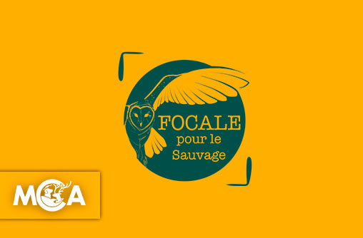 Découvrez Focale pour le Sauvage : quand l’art devient une arme pour défendre le vivant