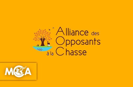 Alliance des Opposants à la Chasse : unir les forces pour sortir de la chasse