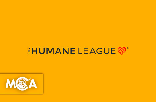 The Humane League : faire reculer l’élevage industriel, victoire après victoire