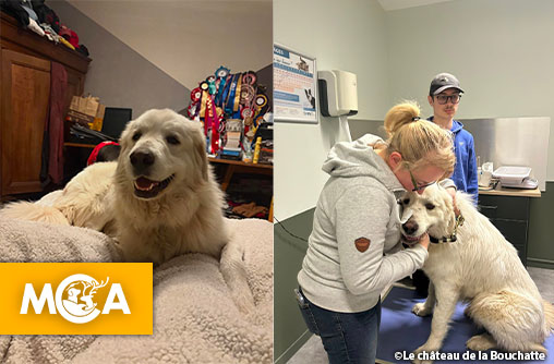 Bonne Nouvelle : Après 8 jours d'angoisse, Rosco est enfin de retour à la maison !