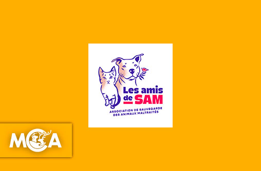 Découvrez Les Amis de Sam, une association qui se bat pour les animaux oubliés