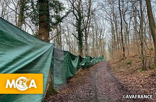 À Dreux, une forêt bâchée pour la chasse à courre : une pétition lancée par AVA Dreux exige son retrait immédiat