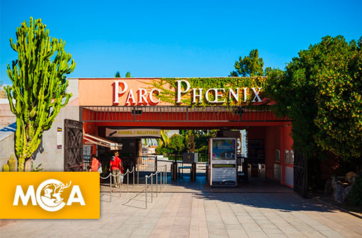 Nice : une pétition réclame la fermeture du zoo du parc Phœnix et le placement des animaux dans des sanctuaires