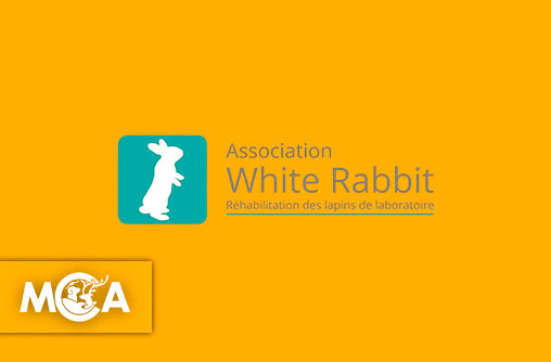 White rabbit : sortir les animaux de laboratoire de l'ombre pour leur offrir une vraie vie
