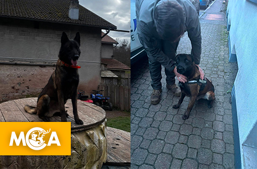 Dans les Vosges, une nouvelle affaire de maltraitance animale a fait la une des médias