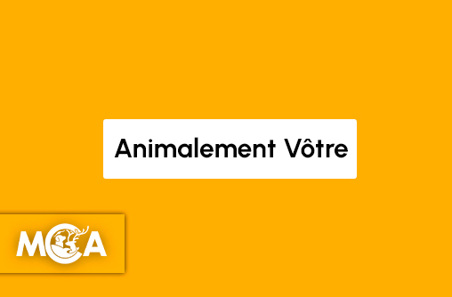Actu animale
