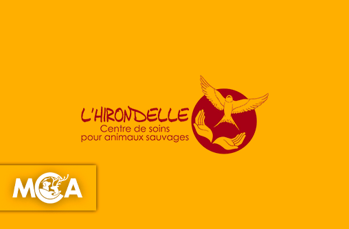 L'hirondelle : 25 ans de combat pour la vie sauvage