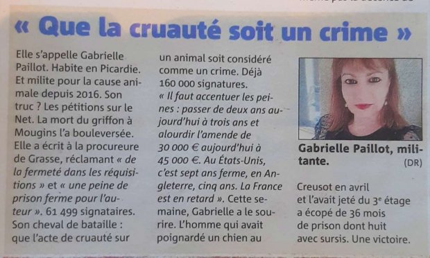 Pétition : Peine de prison ferme pour l'individu ayant tué à coups de fusil son griffon à Mougins et l'ayant jeté dans une benne à ordures le 27 juin 2020