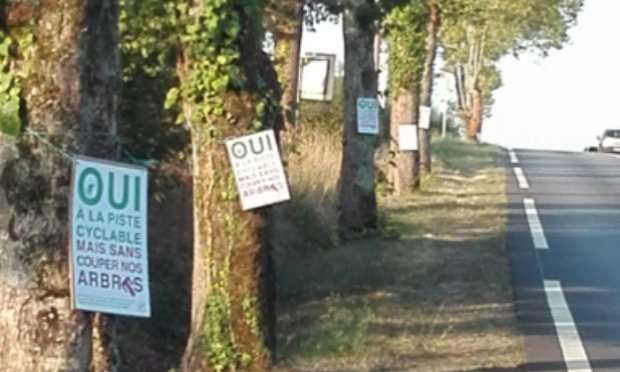 Pétition : Non à l'abattage des arbres avenue d'Oradour sur Glane à Saint Junien