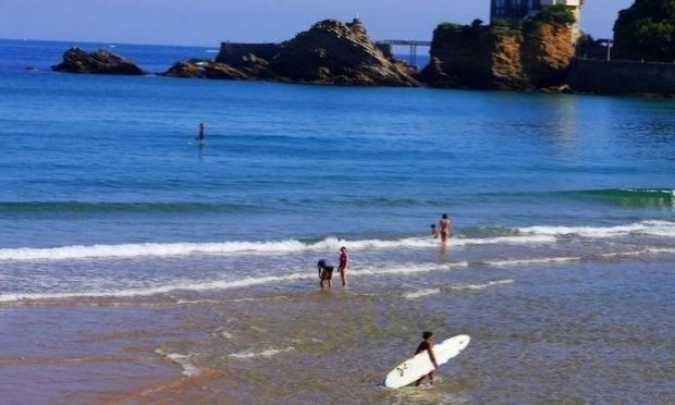 Petition : ROUVRIR LES PLAGES DU LITTORAL POUR LA PRATIQUE D’UNE ACTIVITÉ SPORTIVE