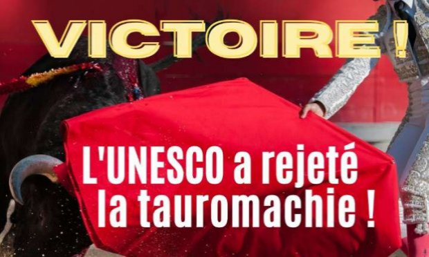 Pétition : Pour l'interdiction des écoles privées de tauromachie en France