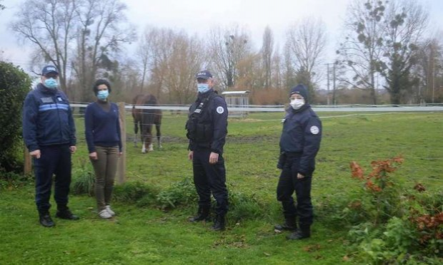 Pétition : Chevaux, bovins mutilés en France : déploiement de l'armée dans les campagnes et fermeture des sites sataniques sur les réseaux sociaux