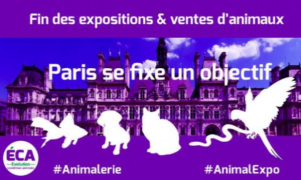 Pétition : Paris ne doit plus accueillir des salons et expositions ventes d'animaux vivants