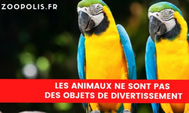 Pétition : Fermons la Ménagerie, le zoo du Jardin des Plantes de Paris