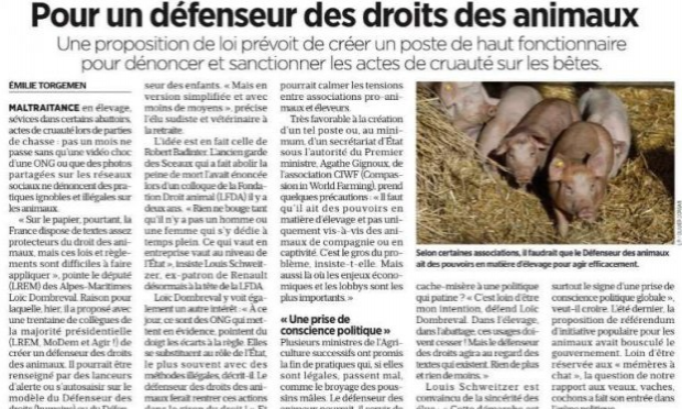 Pétition : Création d'un ministère des droits des animaux en France