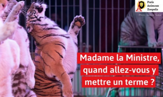 Pétition : Pour que la Mairie de Villabé (91) s'engage pour l'interdiction des animaux dans les cirques