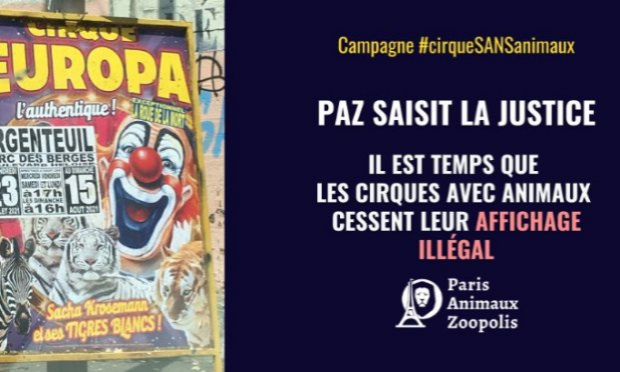 Pétition : Pour que la Mairie de Villabé (91) s'engage pour l'interdiction des animaux dans les cirques