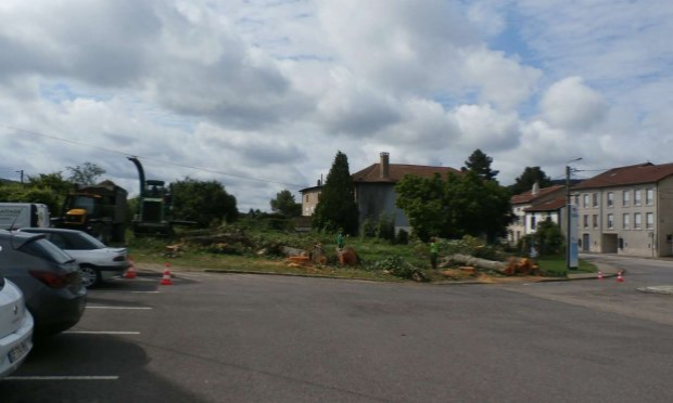Pétition : Non à la destruction des arbres centenaires de la place de la gare à Novéant-sur-Moselle