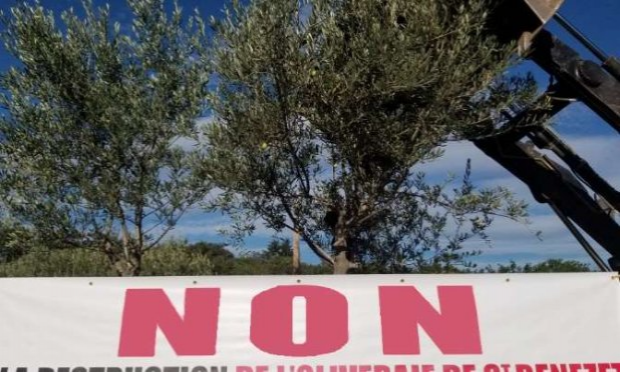 Pétition : Refus de bétonnage dans l'oliveraie de Saint-Bénézet  (Gard)