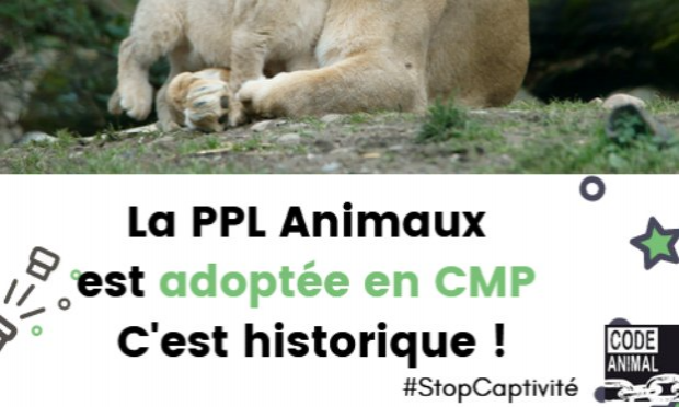 Pétition : Des refuges et sanctuaires pour les animaux sauvages maintenant en France !