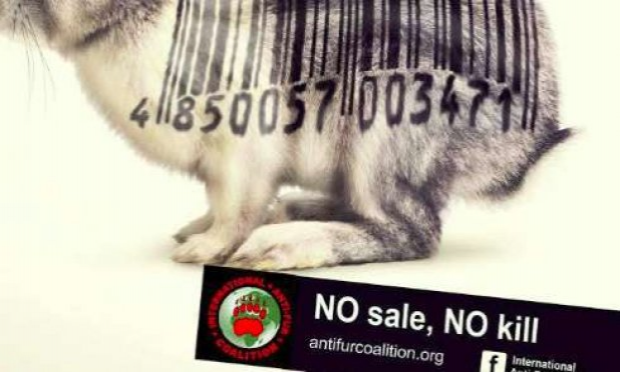 Pétition : Interdiction des ventes de fourrures animales à Paris