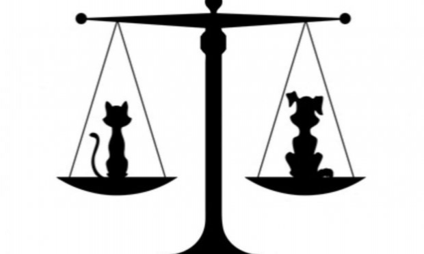 Pétition : Justice exemplaire et enquête pour le chien retrouvé mort dans une poubelle à Barbaste ( Lot et Garonne )