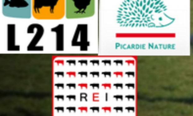 Pétition : Une ferme de 400 vaches ne peut être protectrice de l'environnement !