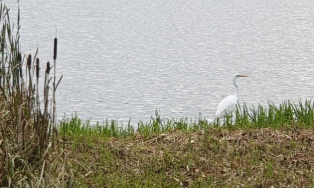 Pétition : Non à la fermeture de l'entrée de la Base des Prés du Hem Avenue Marc Sangnier à Armentières en 2022 !